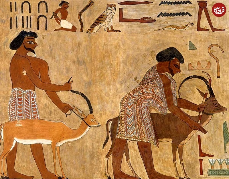 «سینوهه مصری» کیست؟ آیا چنین شخصیتی واقعا وجود داشته است؟