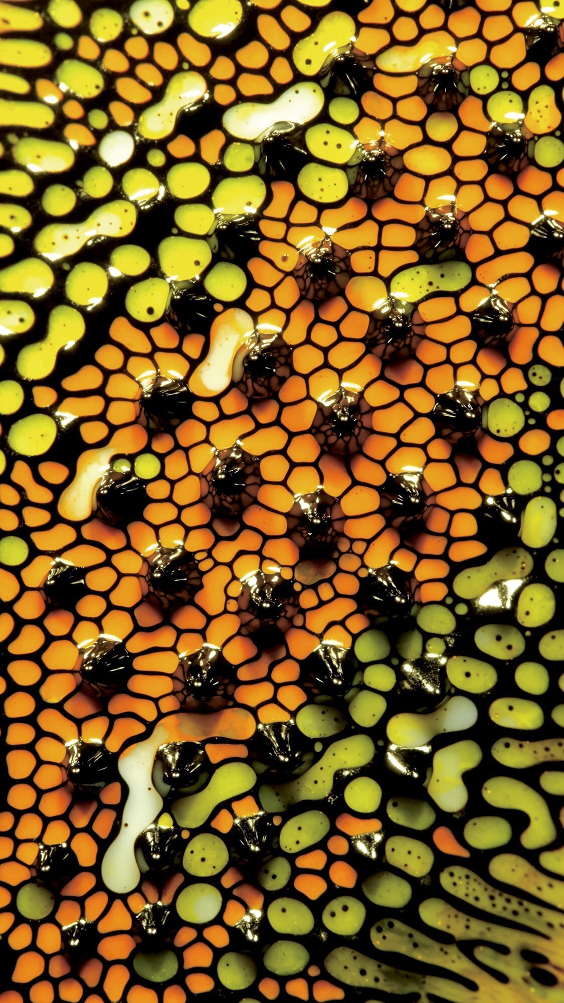 (ویدیو) کازمدرنیسم؛ جستجویی برای بیان شخصی از طریق هنر انتزاعی***