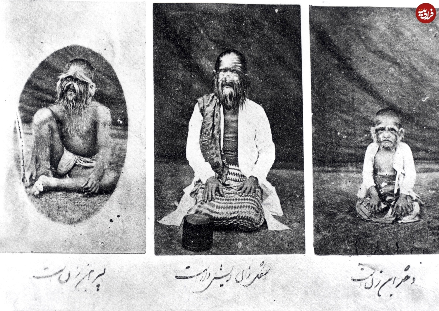 (تصاویر) از فیلخانۀ مبارکه و زنِ ریش‌دار تا سوگلی مشهور دربار
