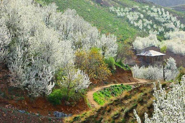 گشت و گذار در ییلاقات بهاری تهران؛ سفر یک روزه به دل بهار
