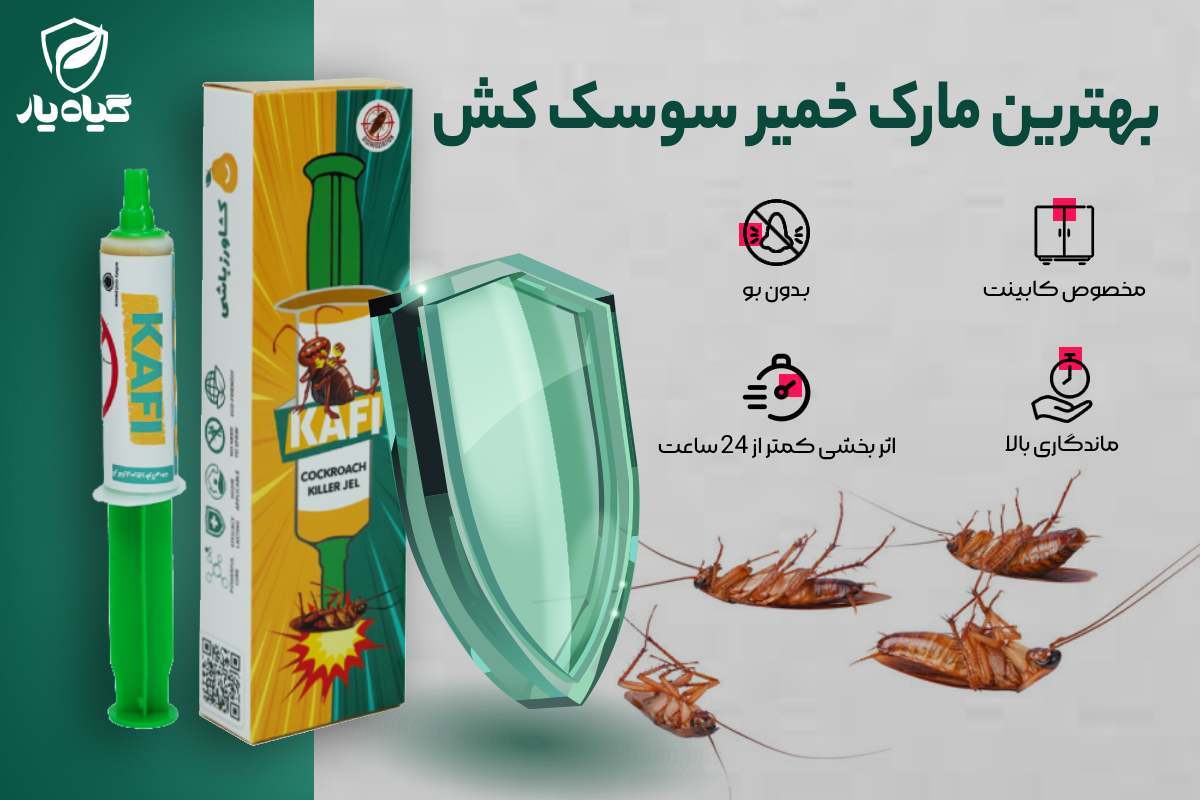 خمیر سوسک کش کافی Kafi : بهترین مارک خمیر سوسک کش